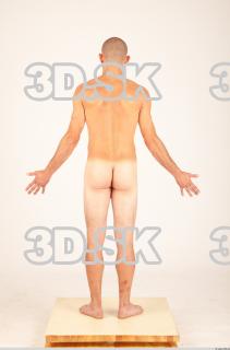 Body texture of Hanus 0005